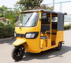 Buy TVS Electric 250cc Motorized Cargo Tricycle Tuktuk Open Body Adult 1000W 48V 400kg EEC & Dot Certified <b>2</b> <b>Passengers</b> Steel - Product Image 3