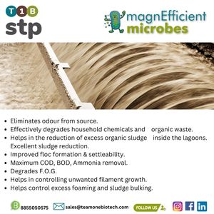 Poudre microbienne pour améliorer l'activité de la biomasse dans les STPs Premium Sewer Product - Product Image 5