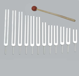 Juego de 12 diapasones de minerales para terapia de sonido con bolsa de terciopelo + mazo de goma gratis. - Product Image 6