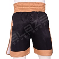 Blaze Fight Wear Arts martiaux Shorts thaïlandais pour adultes Muay Trunks Gym Training Kickboxing MMA Fitness Running Boxe Sport Wear