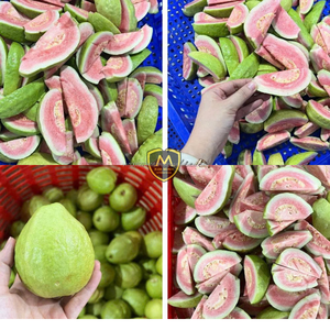 ฝรั่งแดงออร์แกนิกแช่แข็ง IQF ผลไม้เมืองร้อน หวานฉ่ำ ทั้งลูก สำหรับขายปลีกและบริการอาหาร KIM MINH INTERNATIONAL ความบริสุทธิ์ 99.5%-100% - Product Image 6