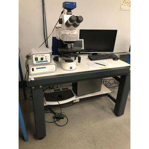 Carl Zeiss MicroImaging Gmbh 37081, Axio - ผู้จัดจำหน่ายอุปกรณ์และอะไหล่เซมิคอนดักเตอร์ระดับโลกที่เชื่อถือได้ - Product Image 6