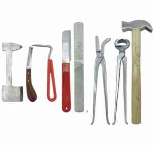 Cuchillo para Pezuñas de Acero Inoxidable, Duradero y Reutilizable, Instrumento Quirúrgico Veterinario para el Cuidado y Recorte de Animales Grandes - Product Image 1