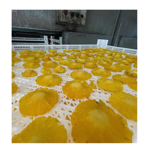 Proveedor de Piña Seca Tropical de Vietnam para Importadores Mayoristas, Fabricantes de Snacks y Compradores de Ingredientes Alimenticios - Product Image 4