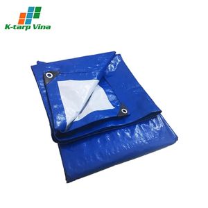 Servicio de corte OEM/ODM de lona de PE resistente. Tecnología Coreana de alta calidad Tamaño y grosor personalizables Hecho en Vietnam - Product Image 5