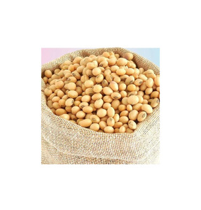Soja de Primera Calidad, Limpia con Tecnología Sortex, 99% de Pureza, para Comercio Internacional de Productos Agrícolas - Product Image 1
