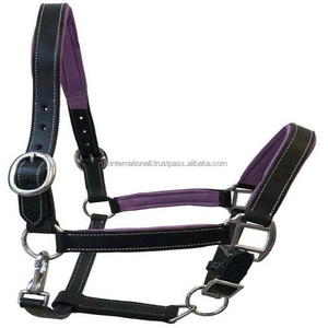 Double <b>Stitched</b> Black Premium Leather Horse Halter in All Custom Sizes Colors and Adjustable Nickel Plated Brass <b>Accessories</b> - Product Image 6