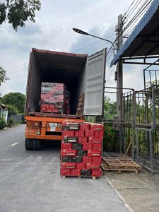 Bûches de bois dur mélangé du Vietnam, séchées au four, faible humidité, combustion longue durée, expédition en vrac pour les importateurs et distributeurs de l'UE - Product Image 3