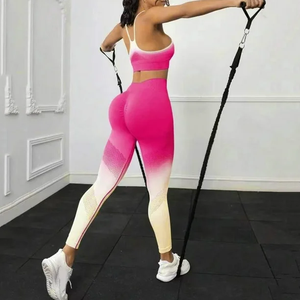 Ensemble 2 pièces d'entraînement sans couture pour femmes, leggings de yoga taille haute et débardeur de gymnastique actif pour amateurs de fitness - Product Image 2