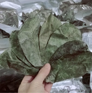 Dried Soursop Leaves (Graviola) – Bulk, OEM & Herbal <b>Tea</b> Supplier Vietnam - Product Image 3