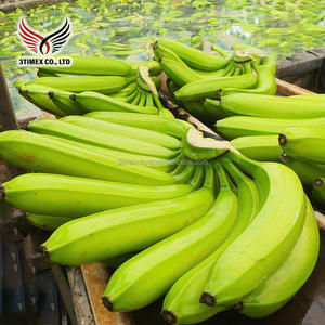 Fresh 100% Natural Vietnam Cavendish Bananas Alto grado Dulce Agricultura Fruta Venta al por mayor Exportación Envío rápido 3Timex - Product Image 3