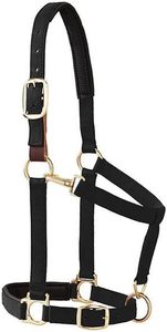 ODM Weaver Equine Breakaway Horse Halter, Comfort <b>Foam</b> <b>Padding</b>, Adjustable Chin & Throat Snap Halters for Horses, Equine - Product Image 5