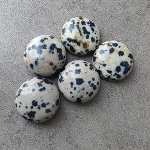 Jaspe Dalmatien Naturel, Cabochon Rond à Dos Plat, Pierre Précieuse Calibrée en Vrac, Toutes Tailles Disponibles - Product Image 3