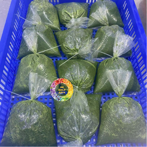 Hojas de Yuca Congeladas IQF, Procesadas en Vietnam, Grado de Exportación, Envasadas al Vacío, 1 kg, Alta Calidad, Precio Económico - CARYLN - Product Image 5