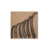 Cornes de buffle naturelles et pointes de corne sur mesure, cornes d'animaux brutes pour l'exportation