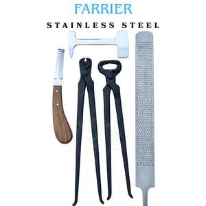Juego de herramientas de herrador al por mayor con cuchillo de doble filo afilado, alicates para limpieza de abscesos en pezuñas, extractor de clavos, pulidor de acero y lima raspadora - Product Image 3