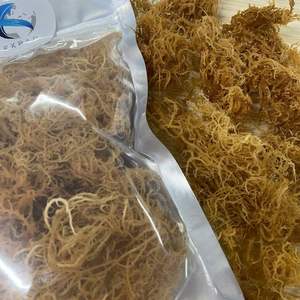 Sun <b>Dried</b> Irish <b>Moss</b> Seaweed Organic Eucheuma Cottonii Vietnam OEM Bulk Export - Product Image 1