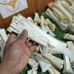 Hueso de pierna de búfalo blanco natural en forma de medio tubo para artesanías vikingas y tradicionales a precio económico. - Product Image 5