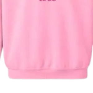 Sweat-shirt d'hiver décontracté à col rond pour femme, rose et bleu clair, motif graphique 1953, manches longues, pull écologique et élégant pour le quotidien - Product Image 4
