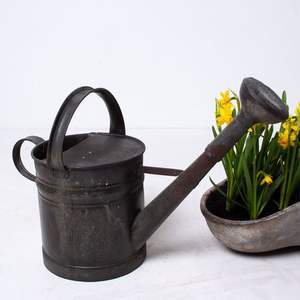 Arrosoir de jardin contemporain en fer avec bec extra long pour une arrosage de précision des plantes d'intérieur et des jardins de balcon - Product Image 3