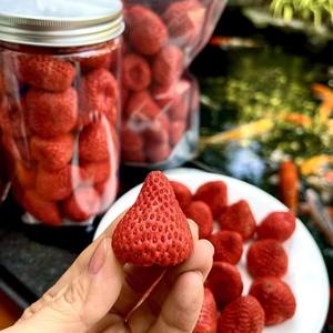 Fraises lyophilisées FD, fruits secs, prix d'usine du Vietnam - Product Image 1