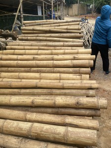 Pôles en bambou naturel pour le soutien des arbres fruitiers, la protection contre le vent et la gestion des cultures - Product Image 4