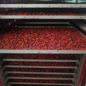 Chile Rey Seco Procesado AD, Súper Picante, 30 kg, para Uso Diario en Alimentos, a Bajo Precio, para Preparación de Comidas - Product Image 2