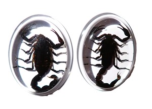 Escorpión Negro, Espécimen Real, Cabujón de Plástico Ovalado de 31x41 mm, Base Plana Transparente para Manualidades y Joyería - Product Image 3