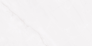 Azulejos de Cerámica con Acabado Pulido Modelo 1004-L 300x600mm - Product Image 1