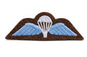 Écusson brodé Premium Airborne Wings à coudre ou thermocollant pour vêtements et accessoires - Product Image 2