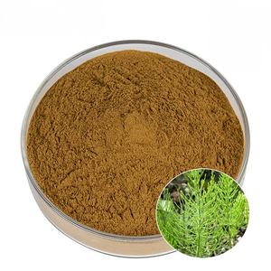 Polvo de Cola de Caballo OEM ODM, Polvo de Hojas de Cola de Caballo Natural Sin Químicos para Favorecer el Crecimiento del Cabello, Uñas Fuertes y Piel Saludable - Product Image 2