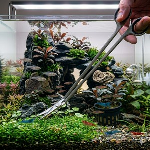 Ciseaux d'aquarium en acier inoxydable de 10 pouces de long, ciseaux courbés pour la taille, directement de l'usine - Product Image 1