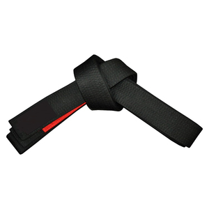 Ceinture de karaté, ceintures d'arts martiaux, ceinture d'entraînement de Taekwondo et de Judo, ceinture uniforme, logo personnalisé, fournisseur direct d'usine OEM, vente en gros - Product Image 4