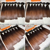 Meilleure Qualité Super Double Drawn Cheveux Humains Bruts Vietnamiens à Pointe Brune Pleine Épaisseur, Paquets de Cheveux Humains, Liste de Prix de Gros