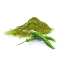 Exportqualität Premium Grünes Chili-Kochgewürzpulver Lebensmittelverarbeitungs-Gewürzpulver Niedrigste Preise Grünes Chili-Spray