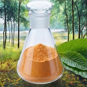 Top Seller High Purity Organic 7-OH MIT Thai Herbal Leaf <b>Extract</b> Powder 80% <b>Extract</b> Artificial Planting Vacuum Packed Thailand - Product Image 5