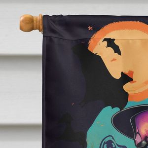Gran Boston Terrier Witchy Halloween casa bandera Multicolor porche manga poste decorativo patio Banner ilustraciones colgante de pared hecho - Product Image 3
