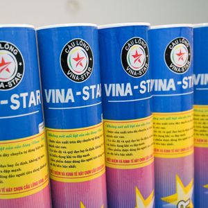 Volants de badminton Vina-Star en plumes d'oie, directement de l'usine, lot de 12, économiques pour les clubs - Product Image 4