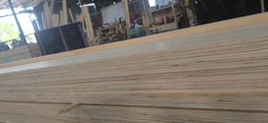 Contreplaqué extérieur commercial en tilleul du Vietnam de qualité supérieure, épaisseurs 17mm, 19mm, 8mm, 5mm, 6mm, 4x8ft, pour mobilier d'extérieur - Product Image 4