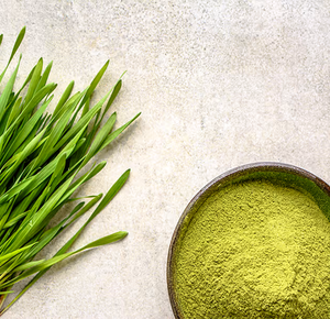 Polvo de Pasto de Cebada Orgánico OEM 100% Puro Natural a Granel Mayorista Fabricante Exportador - Product Image 2