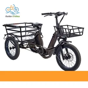 RAIDER 2023 새로운 전기 Trike 3 바퀴 이동식 듀얼 배터리 페달 48V 화물 3 바퀴 전기 자전거 1000 와트 26 인치 휠