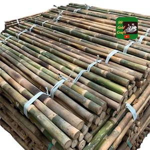 PRIX D'USINE : Poteaux en bambou naturel de haute qualité, cannes en bambou de grand diamètre pour la construction et l'aménagement paysager, vente en gros - Product Image 2