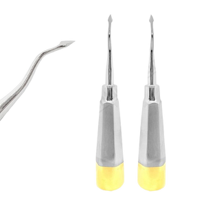 High Quality Dental Surgical Extraction Root Elevator Stainless Steel <b>Tooth</b> Root Elevator Dental Surgery Instrument - Product Image 1