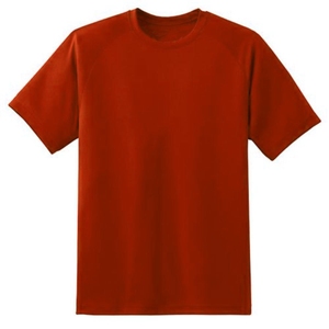 T-shirt à col rond en coton uni pour homme, durable, résistant et idéal pour un usage quotidien - Product Image 5