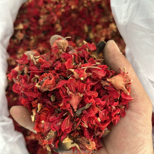 Fleurs de grenade séchées à l'air, herbe florale botanique, antioxydant naturel, tisane, usage médicinal/extrait/soins de la peau, acceptation OEM - Product Image 6
