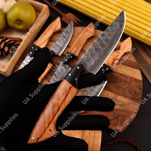 Couteaux de cuisine professionnels en acier Damas forgé à la main, à lame pleine, ambidextres, finition brossée, lame de 4,5 pouces, pour restaurant, maison et extérieur - Product Image 6