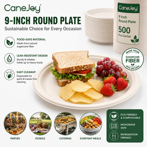 Canejoy 9 Inch Bagasse Round <b>Plate</b> | Eco-Friendly <b>Disposable</b> Travel Dinner <b>Plate</b> | 10 Packs | Classic Style | Made in Gujarat - Product Image 4