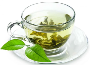 Hojas de Graviola Antioxidantes de Alta Calidad, Materia Prima para Té Herbal, Exportación al por Mayor, Fabricante de Vietnam - Product Image 6
