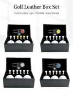 Coffret Cadeau de Golf en PU avec Balles de Golf en Acier Inoxydable, Outil de Réparation de Divots, Marqueur de Balle, Tees de Golf et Accessoires – Kit Cadeau pour Golfeur