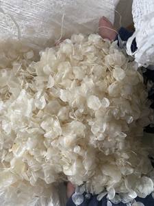 Écailles de poisson séchées de première qualité, écailles de poisson-serpent séchées, écailles de tilapia du Vietnam/ Mme Lima - Product Image 3